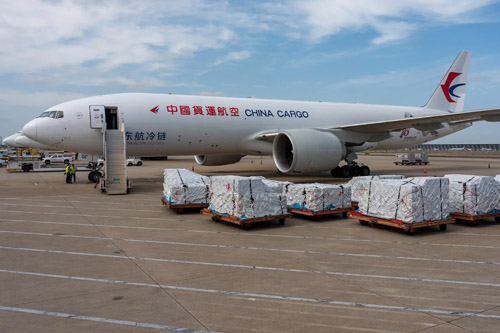 Cargo transported by charter flight to Egypt